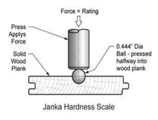 Supporting image for blog post: The Janka Scale